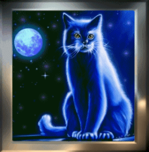 chat